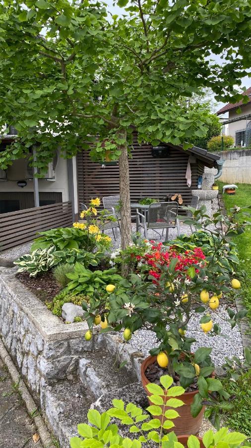 Apartma Nomad Novo Mesto Exterior foto
